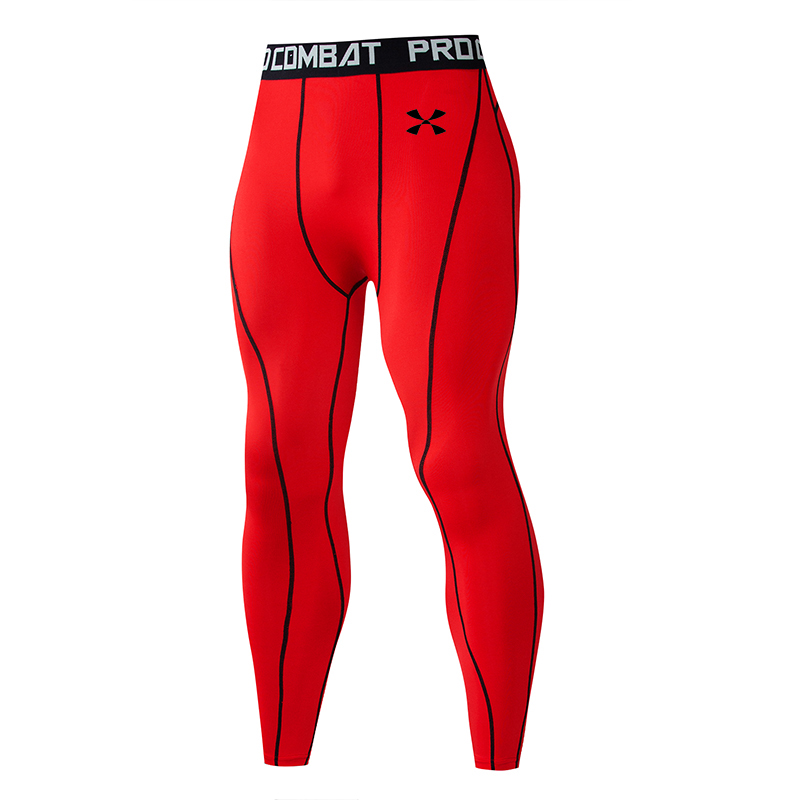 Men Gym Sport Tights Quick Dry - Crossfit Equipment avaliação e preço