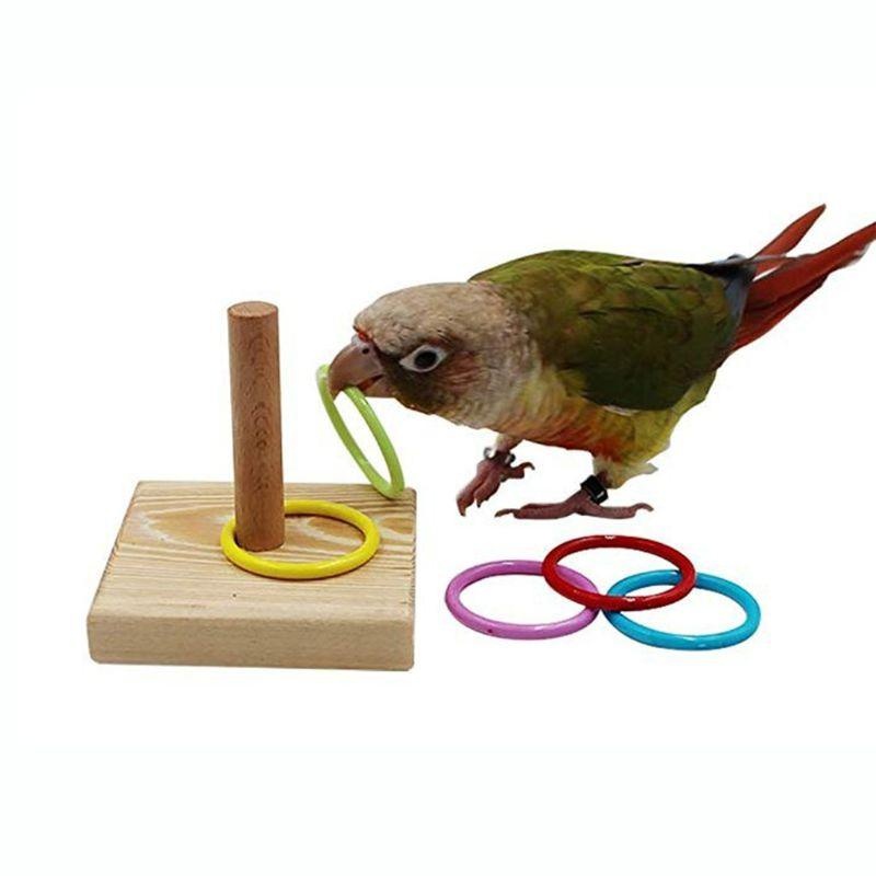 Bird Training Ring Toy Parrot  - Gymnastic Ring Wood avaliação e preço