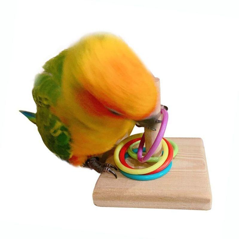 Bird Training Ring Toy Parrot  - Gymnastic Ring Wood avaliação e preço