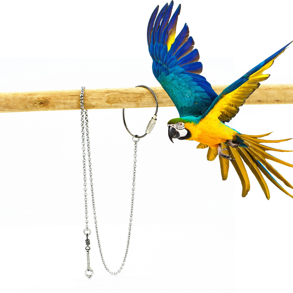 1Pcs Pet Parrot Leg Ring Ankle - Gymnastic Ring Wood avaliação e preço
