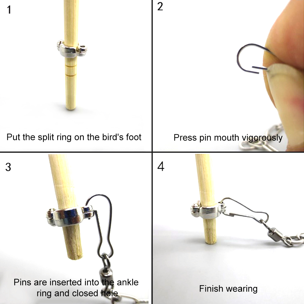 1Pcs Pet Parrot Leg Ring Ankle - Gymnastic Ring Wood avaliação e preço